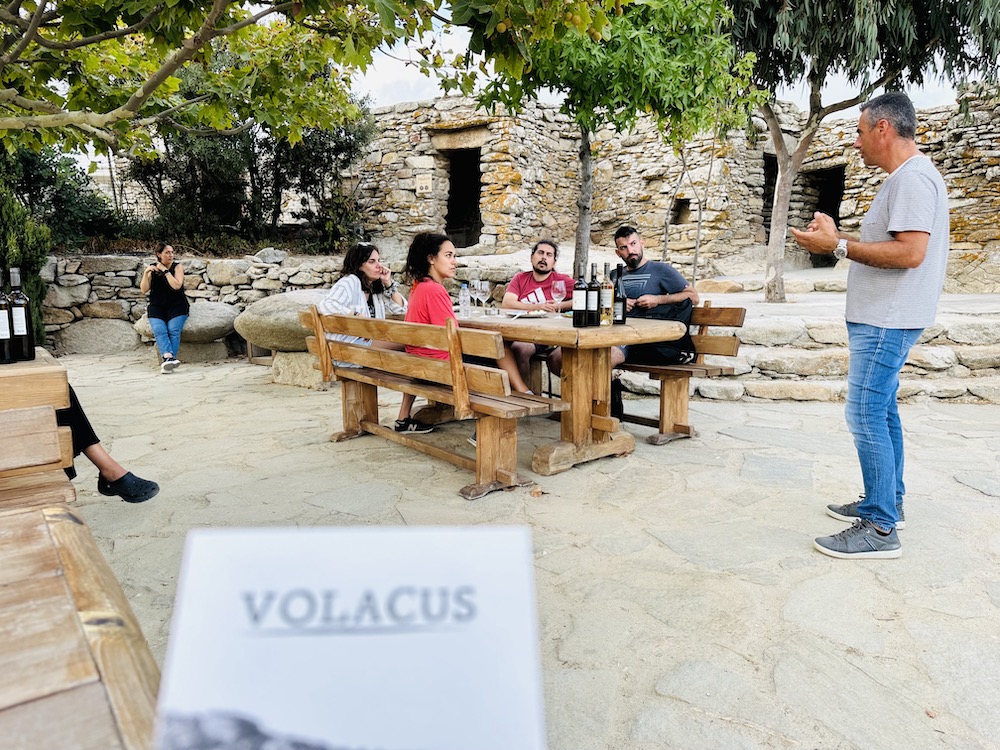 Volacus wine